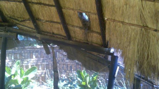 Underside of a damaged thatch roof with a hole