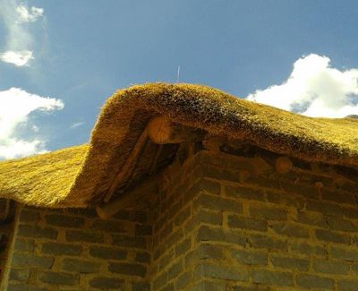 Edge of a thatch roof in golden thatching grass